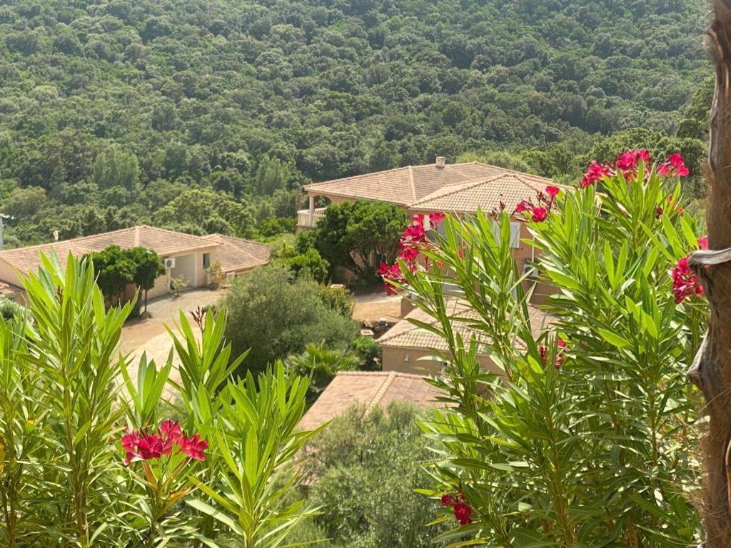 Via Mare Hotel Sainte-Lucie de Porto-Vecchio Bagian luar foto